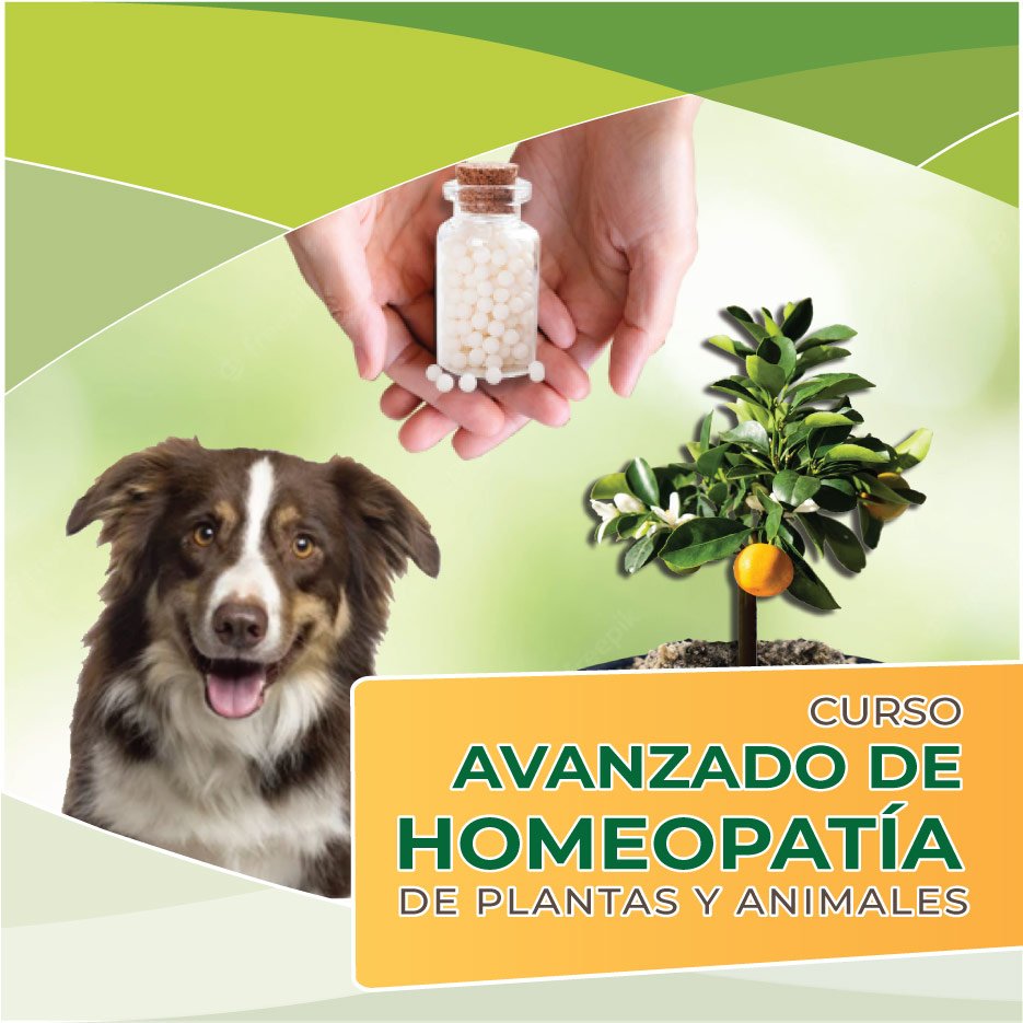 Curso-Avanzado-Homeopatia