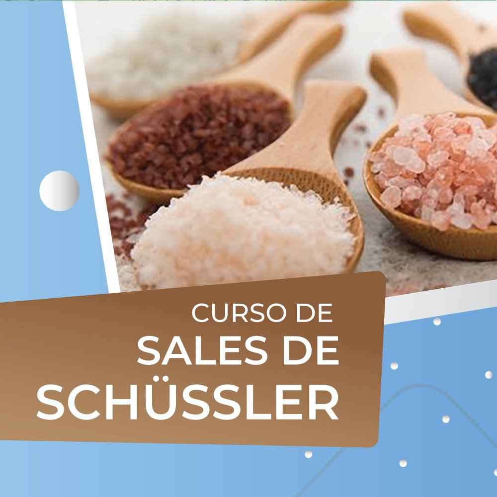 Curso-Sales-de-Schussler